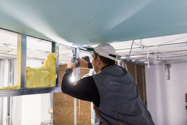 Best Attic Insulation Installation  in Murfreesboro, TN