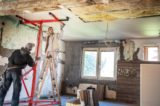 Best Insulation for New Construction  in Murfreesboro, TN